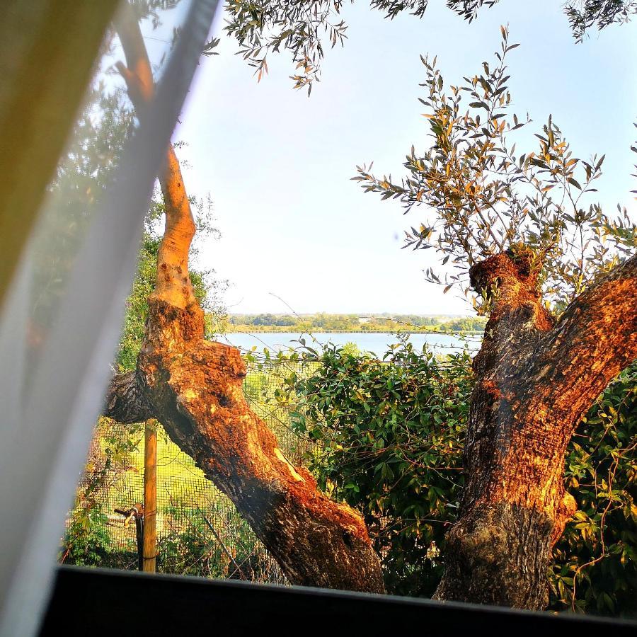 Sul Lago Dorato 泰拉奇纳 外观 照片
